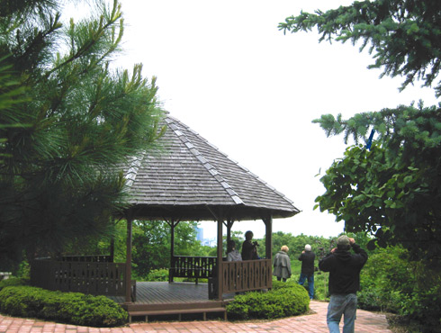 Mabel Davis Garden