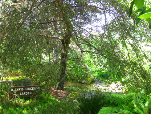 H. C. Erickson Garden