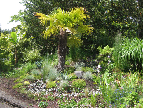 Tropical Garden