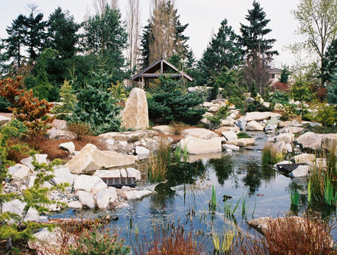 Coenosium Rock Garden